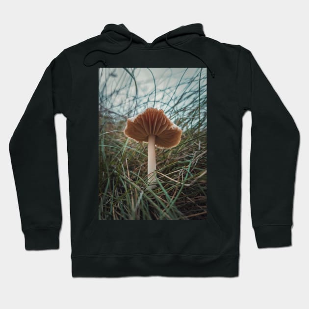 wild mushroom Hoodie by psychoshadow